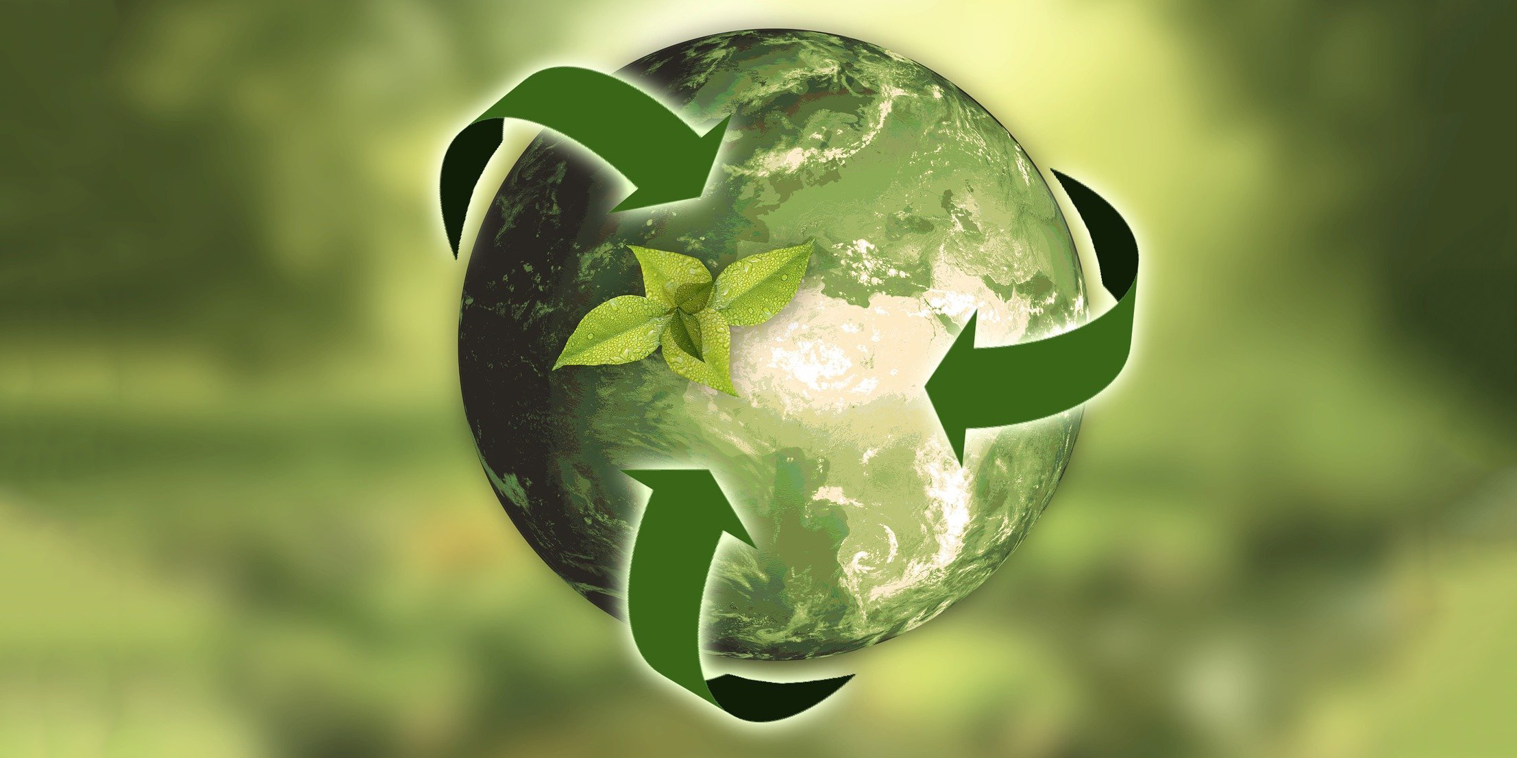 sustainability_nature-pixabay_1920